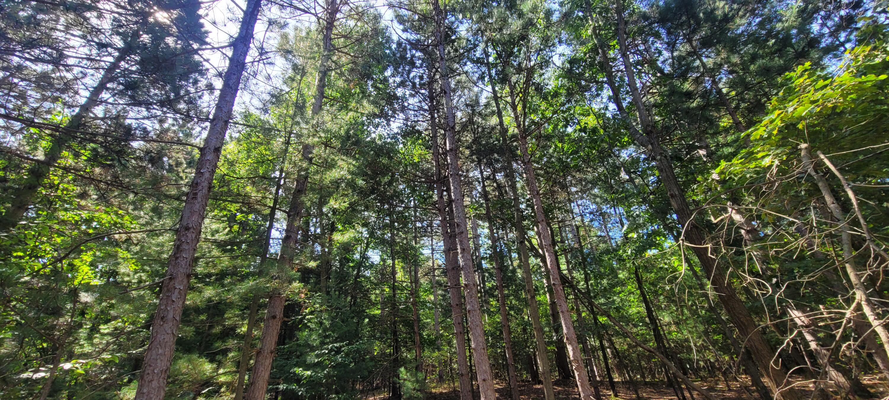 15 Vac acres S 32nd Avenue