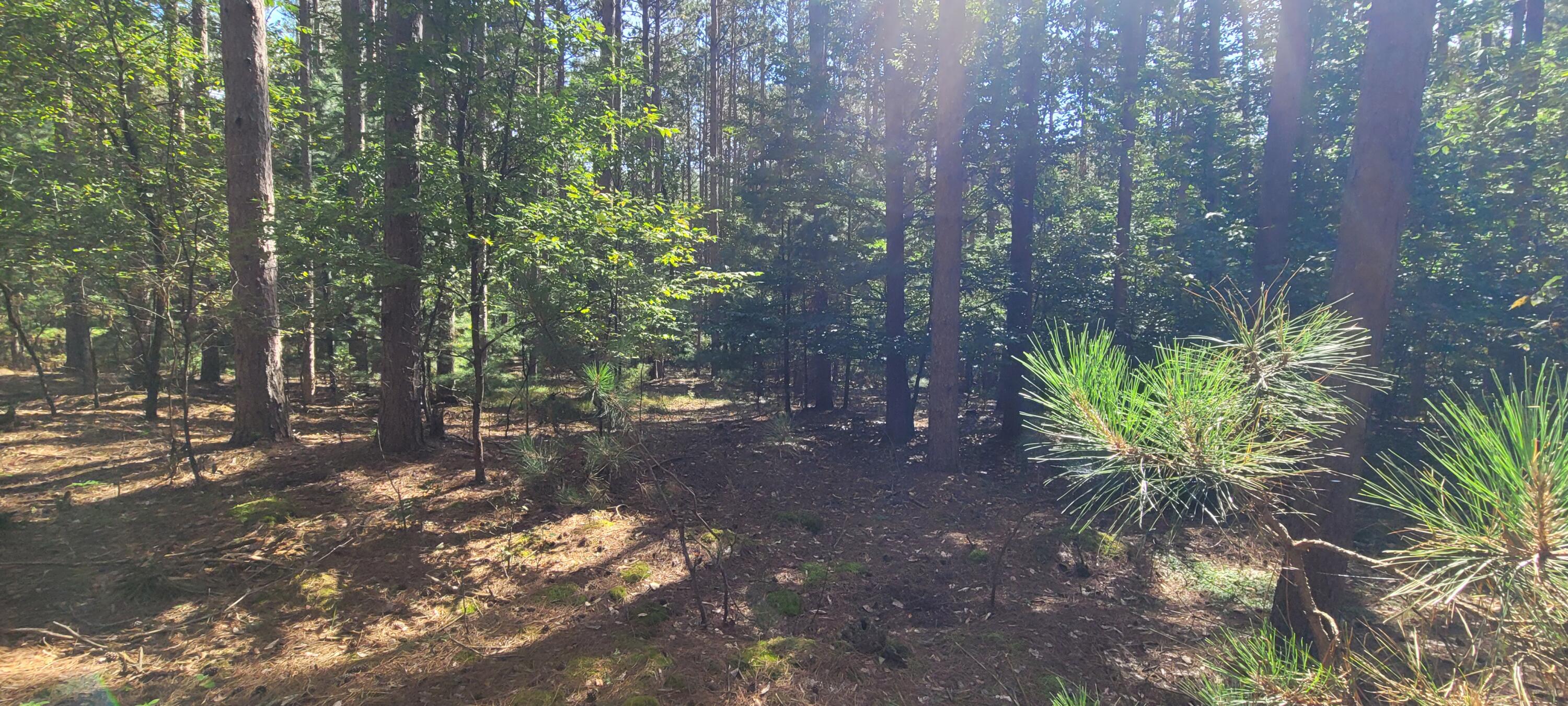 15 Vac acres S 32nd Avenue