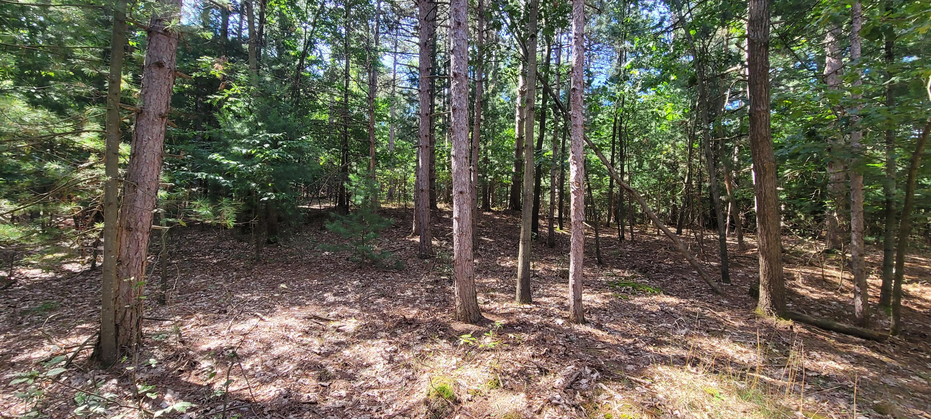 15 Vac acres S 32nd Avenue