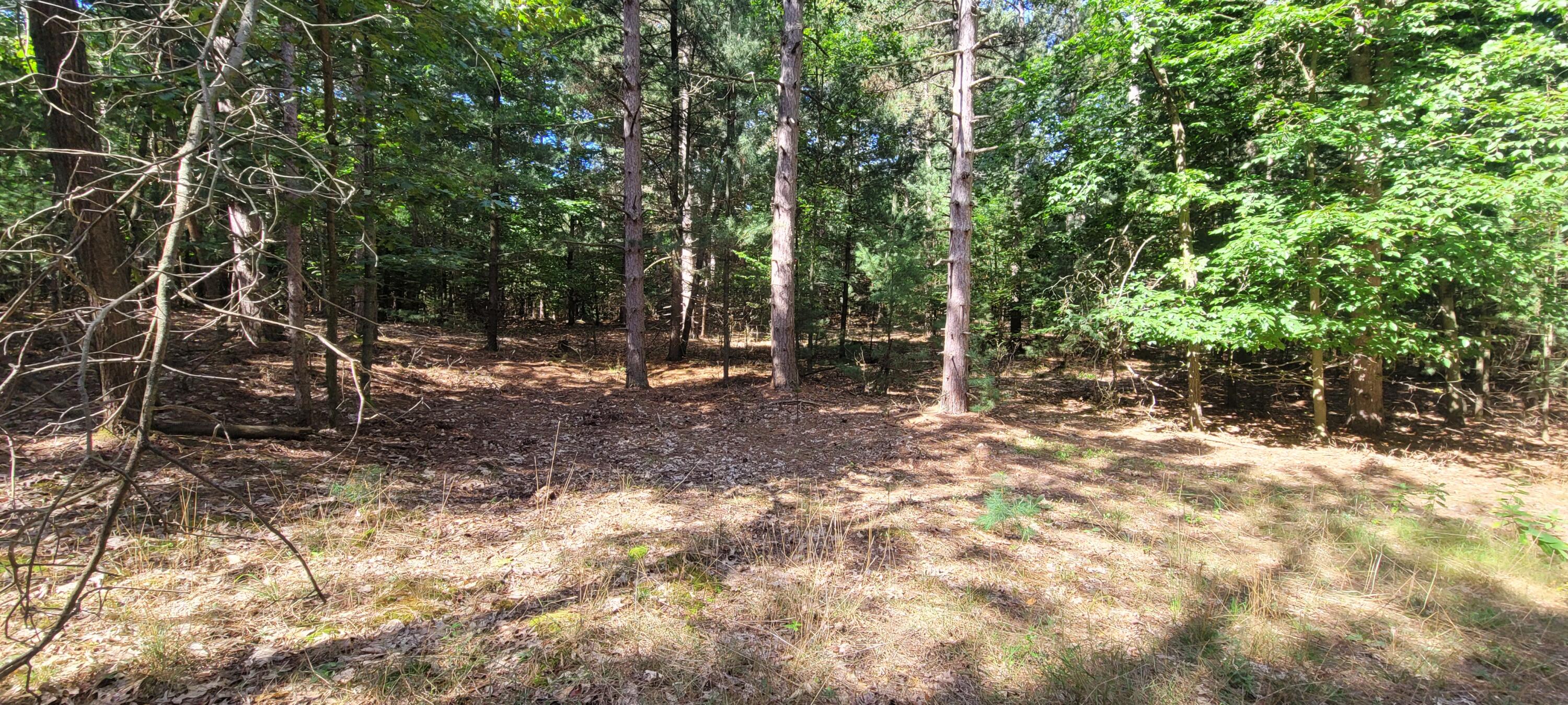 15 Vac acres S 32nd Avenue