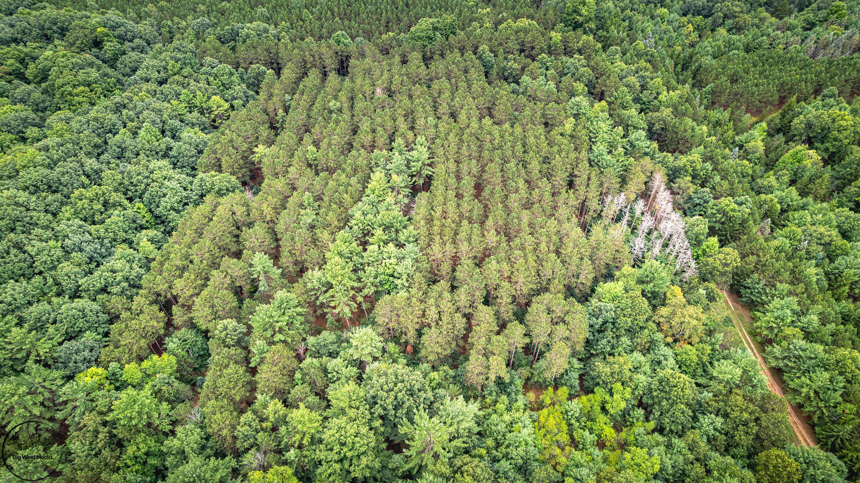 15 Vac acres S 32nd Avenue