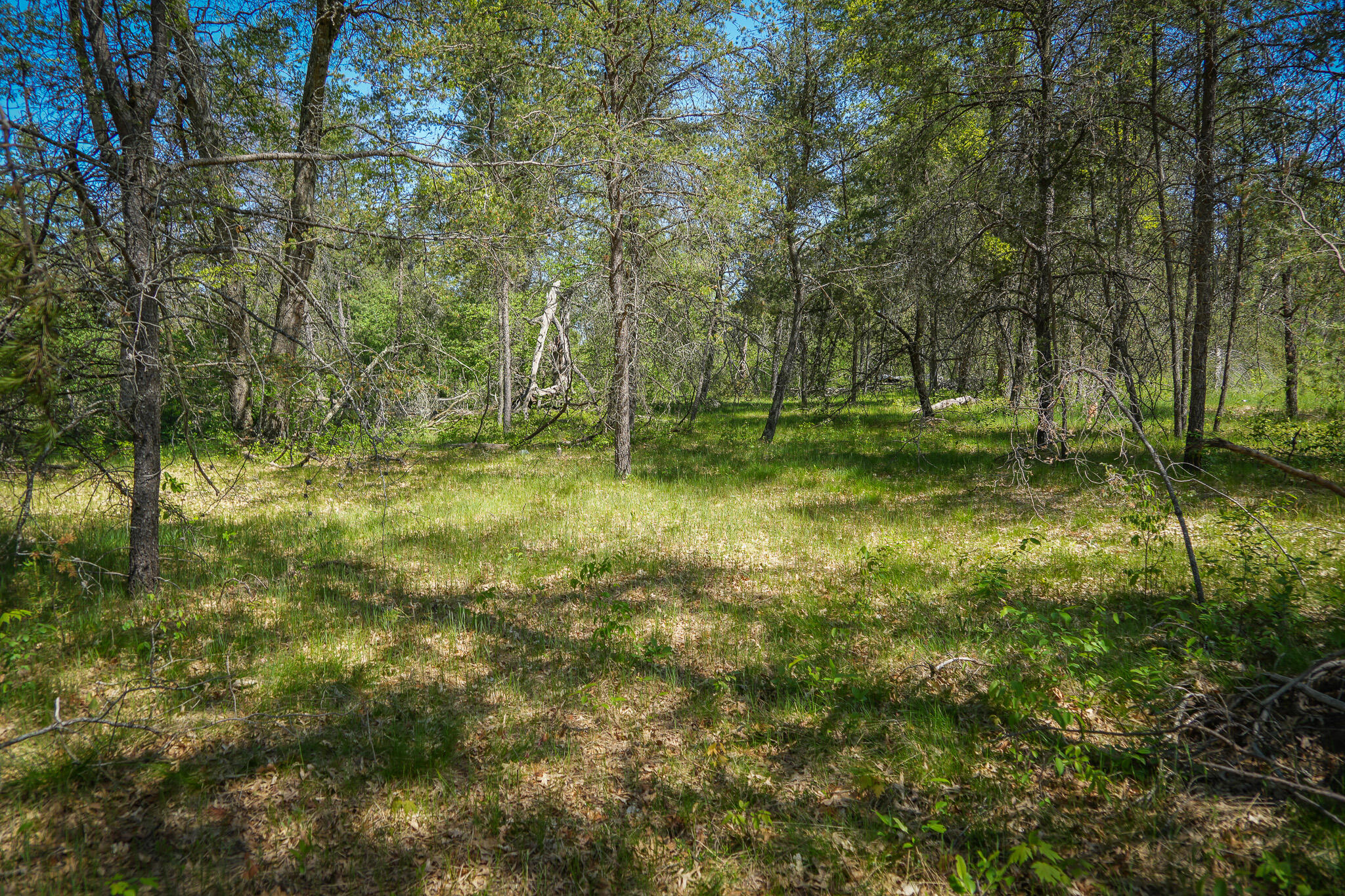 4364 W 4 Mile Road