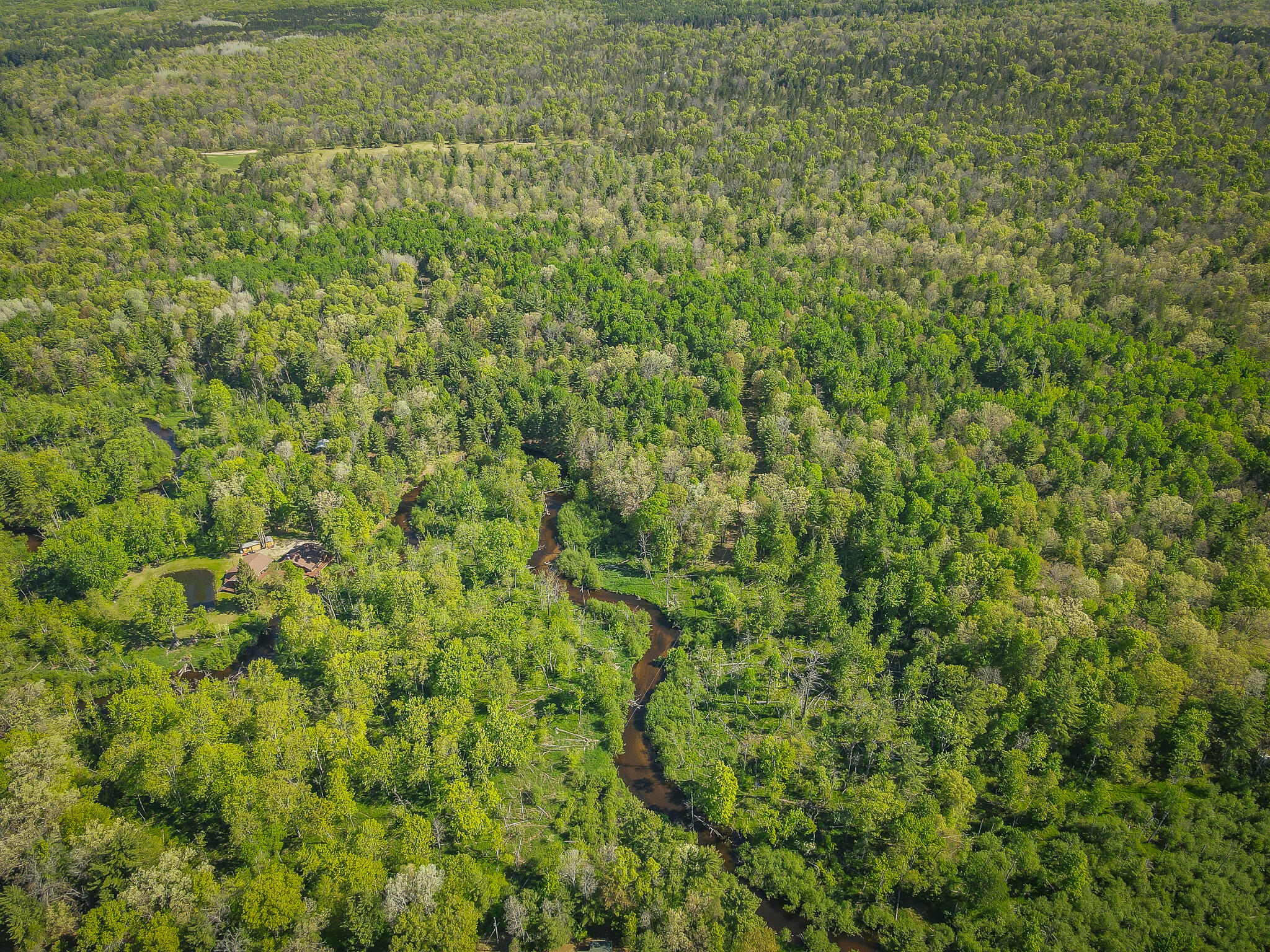 4364 W 4 Mile Road