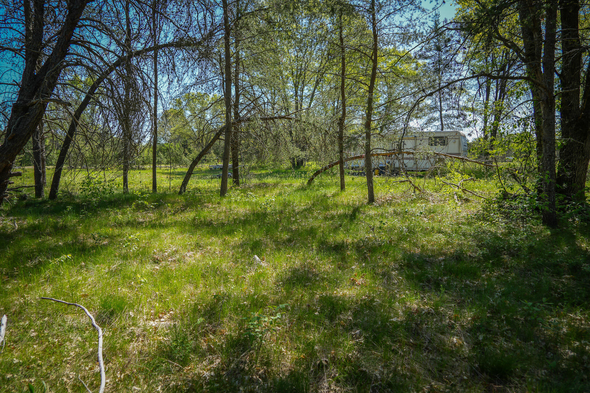 4364 W 4 Mile Road