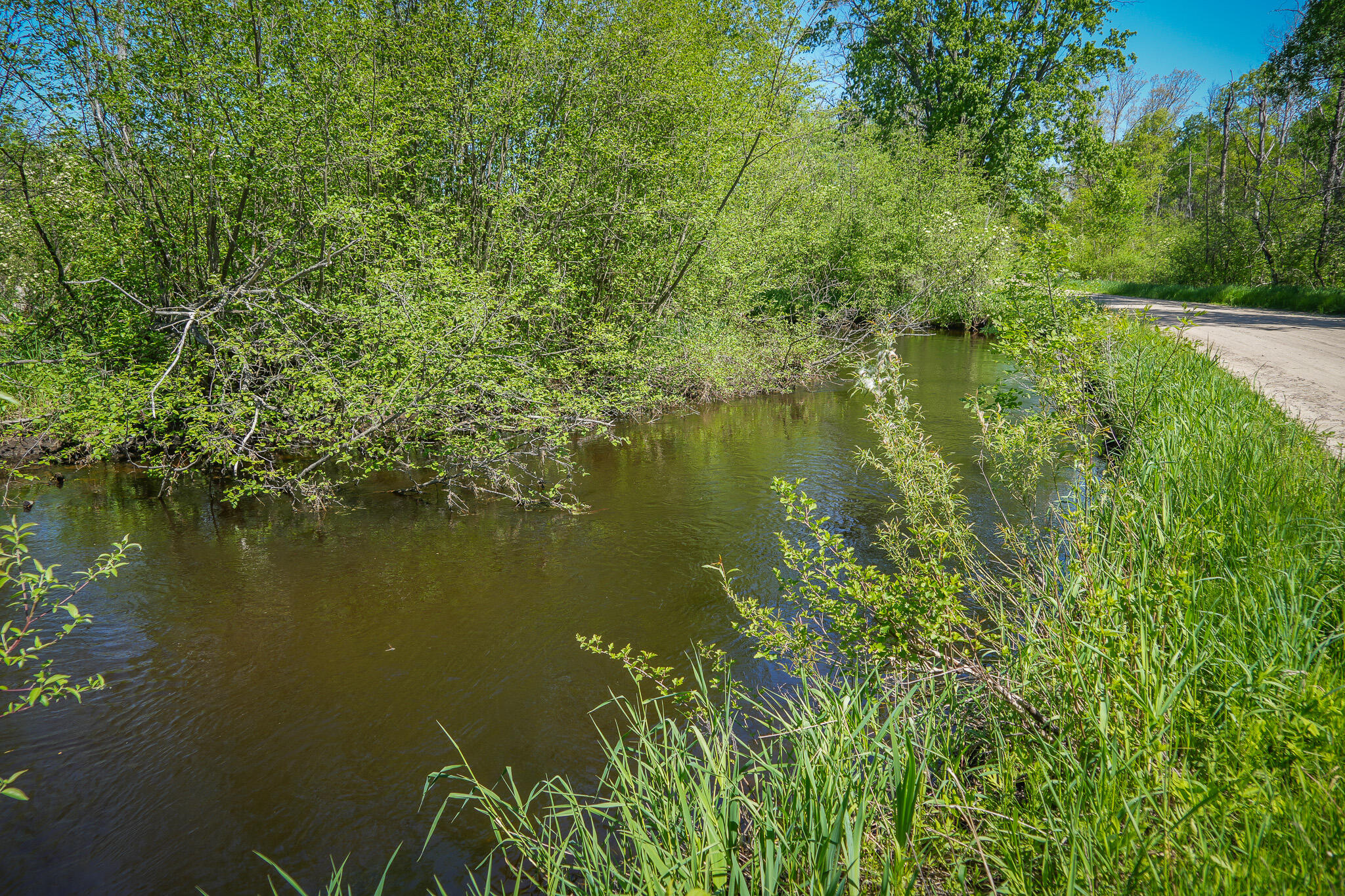 4364 W 4 Mile Road