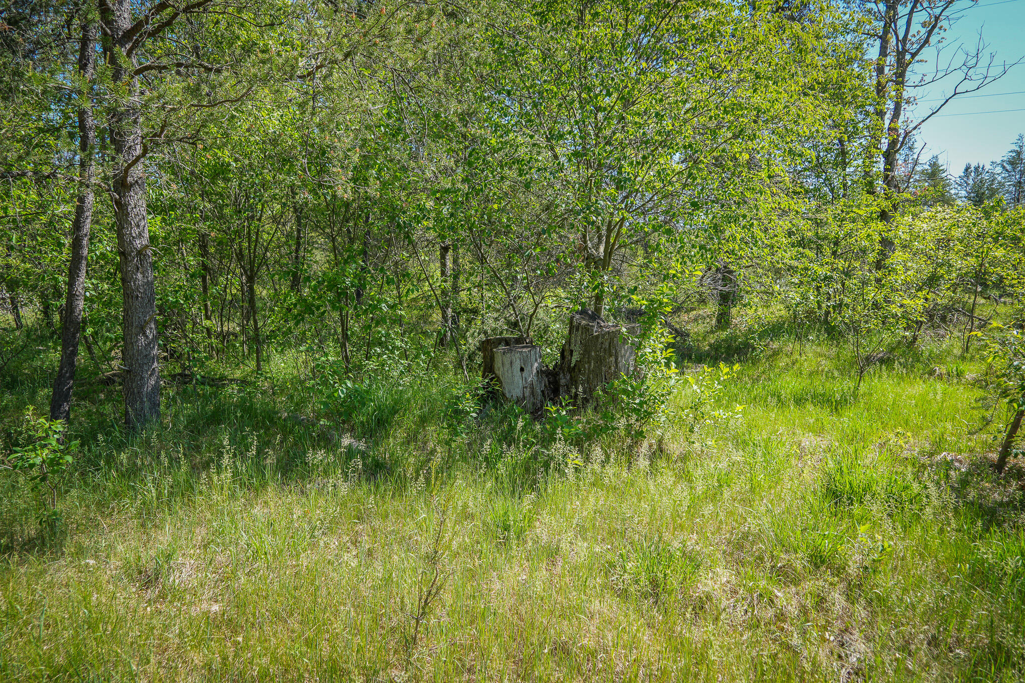 4364 W 4 Mile Road