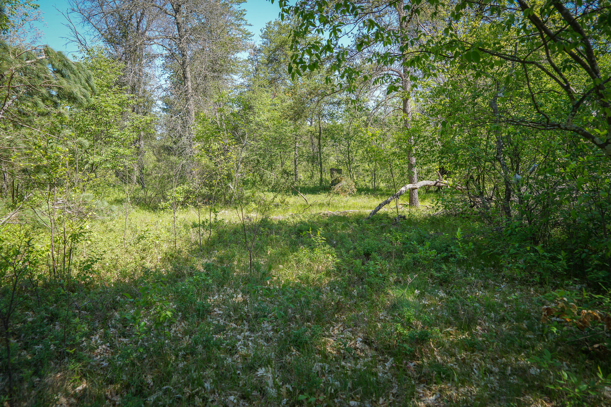 4364 W 4 Mile Road