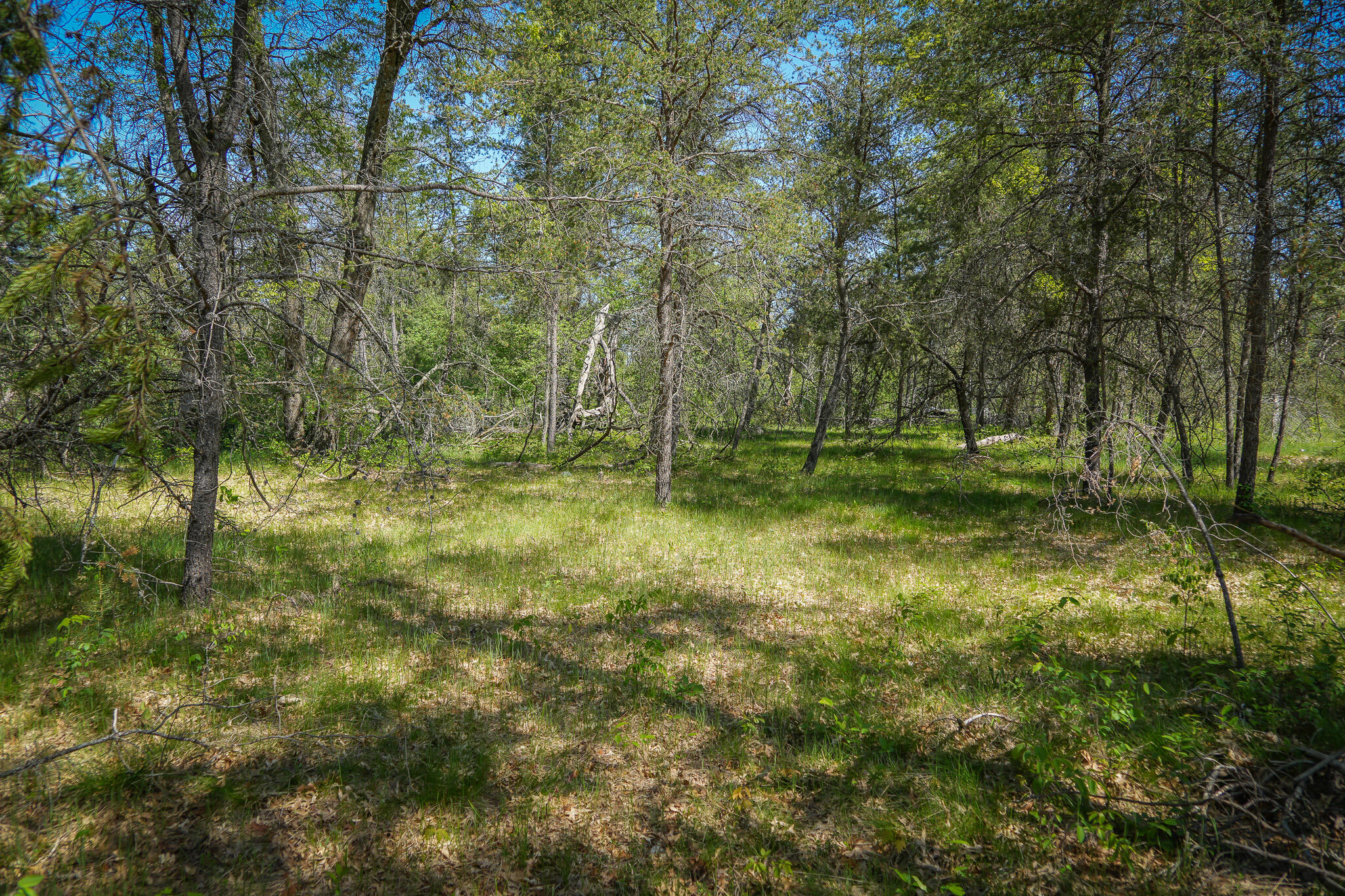 4364 W 4 Mile Road