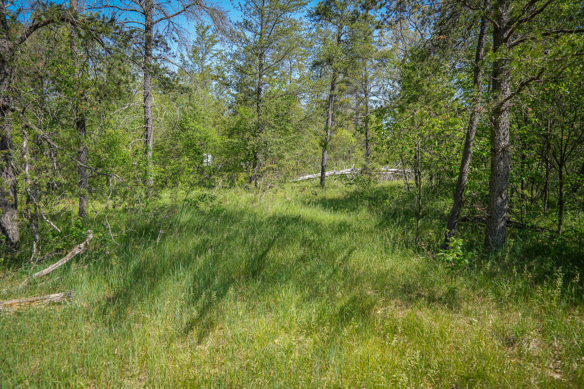 4364 W 4 Mile Road