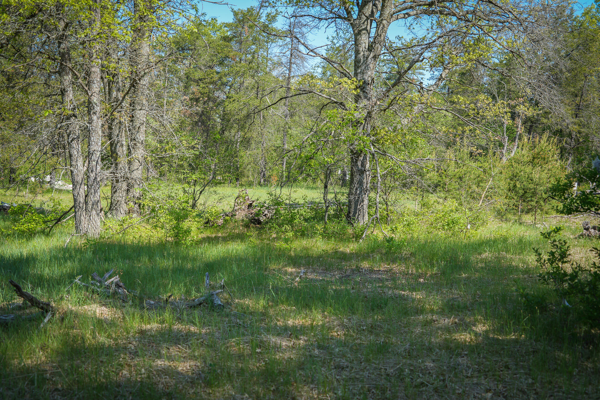 4364 W 4 Mile Road