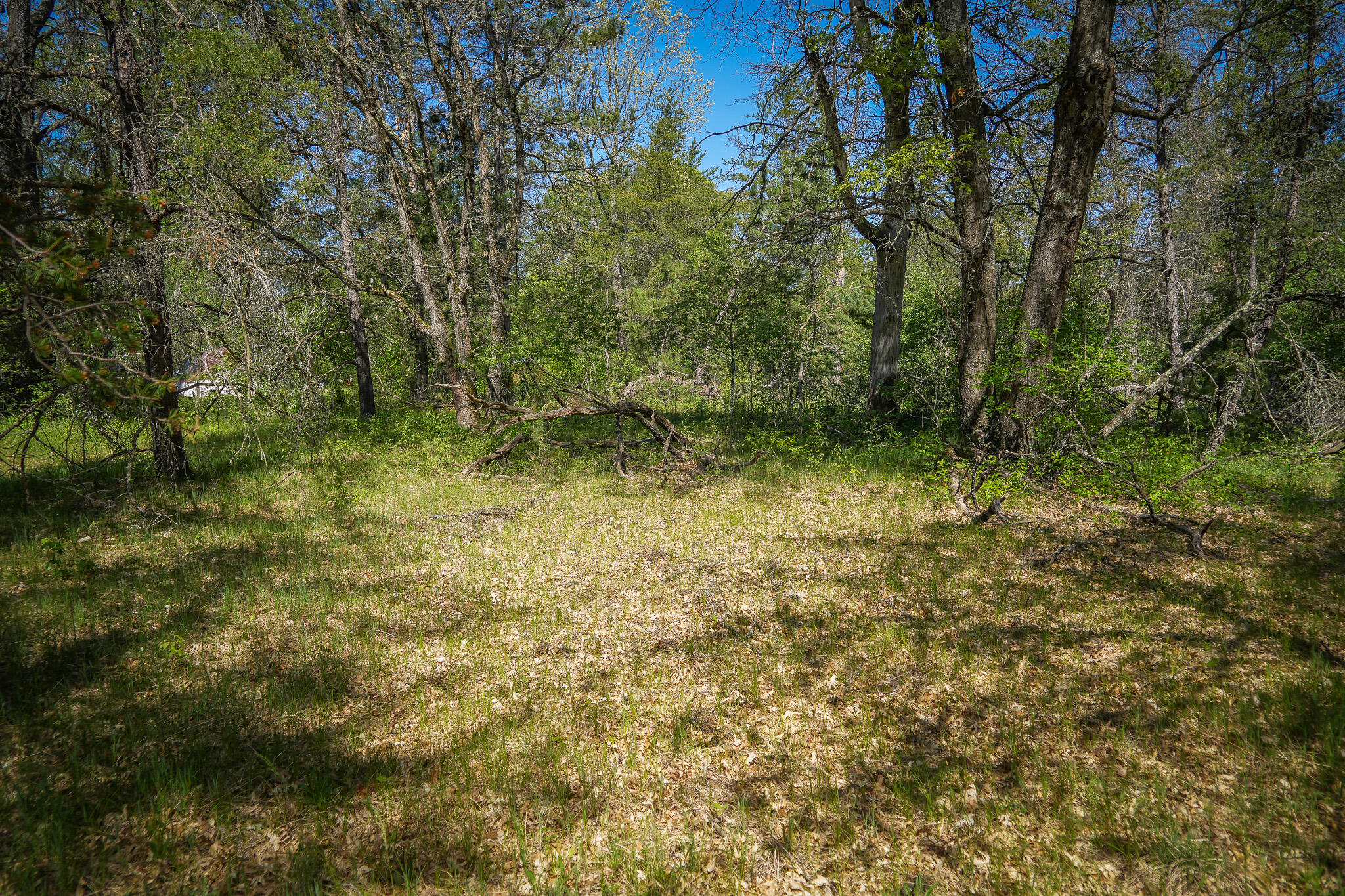 4364 W 4 Mile Road