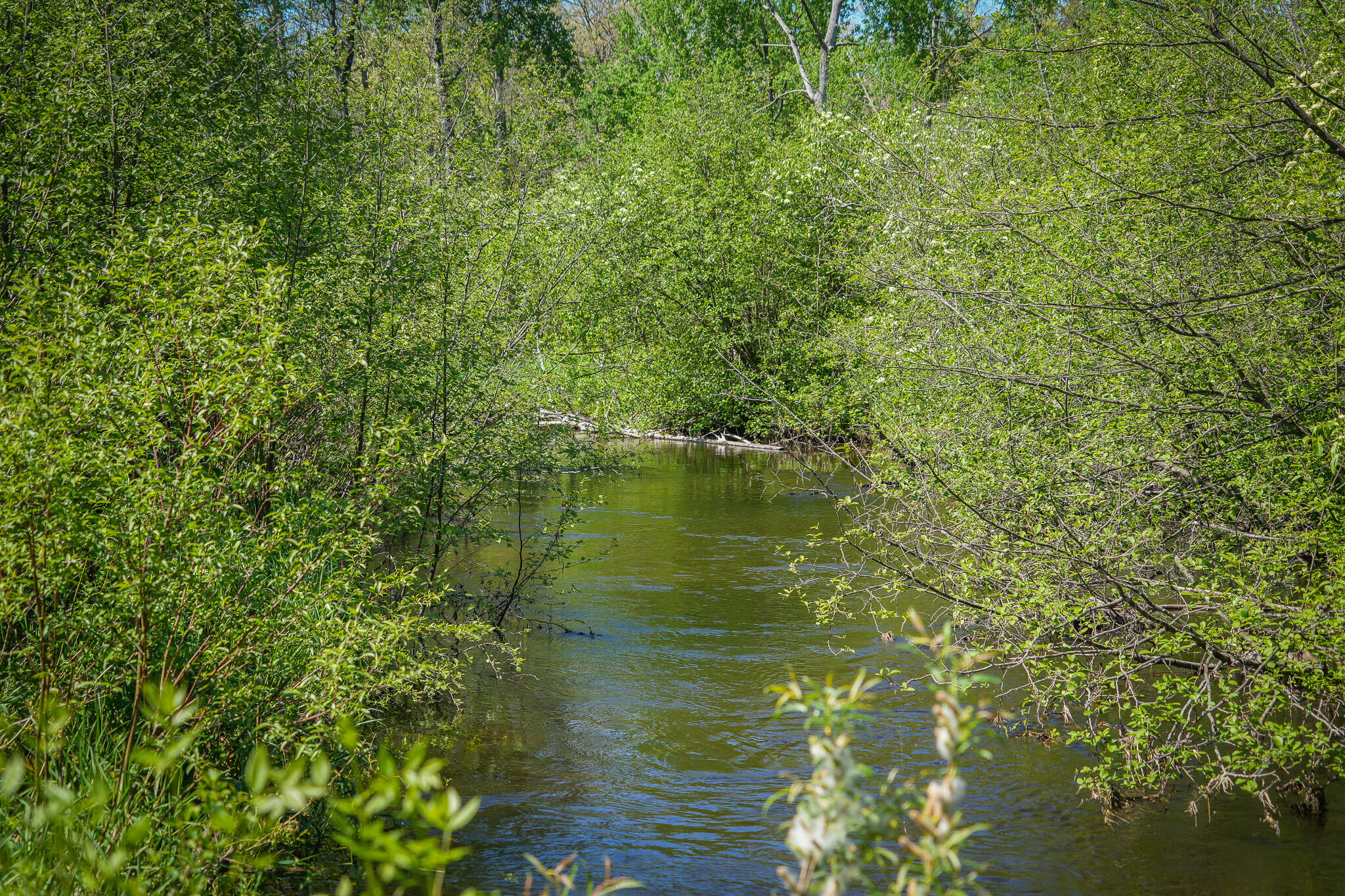 4364 W 4 Mile Road