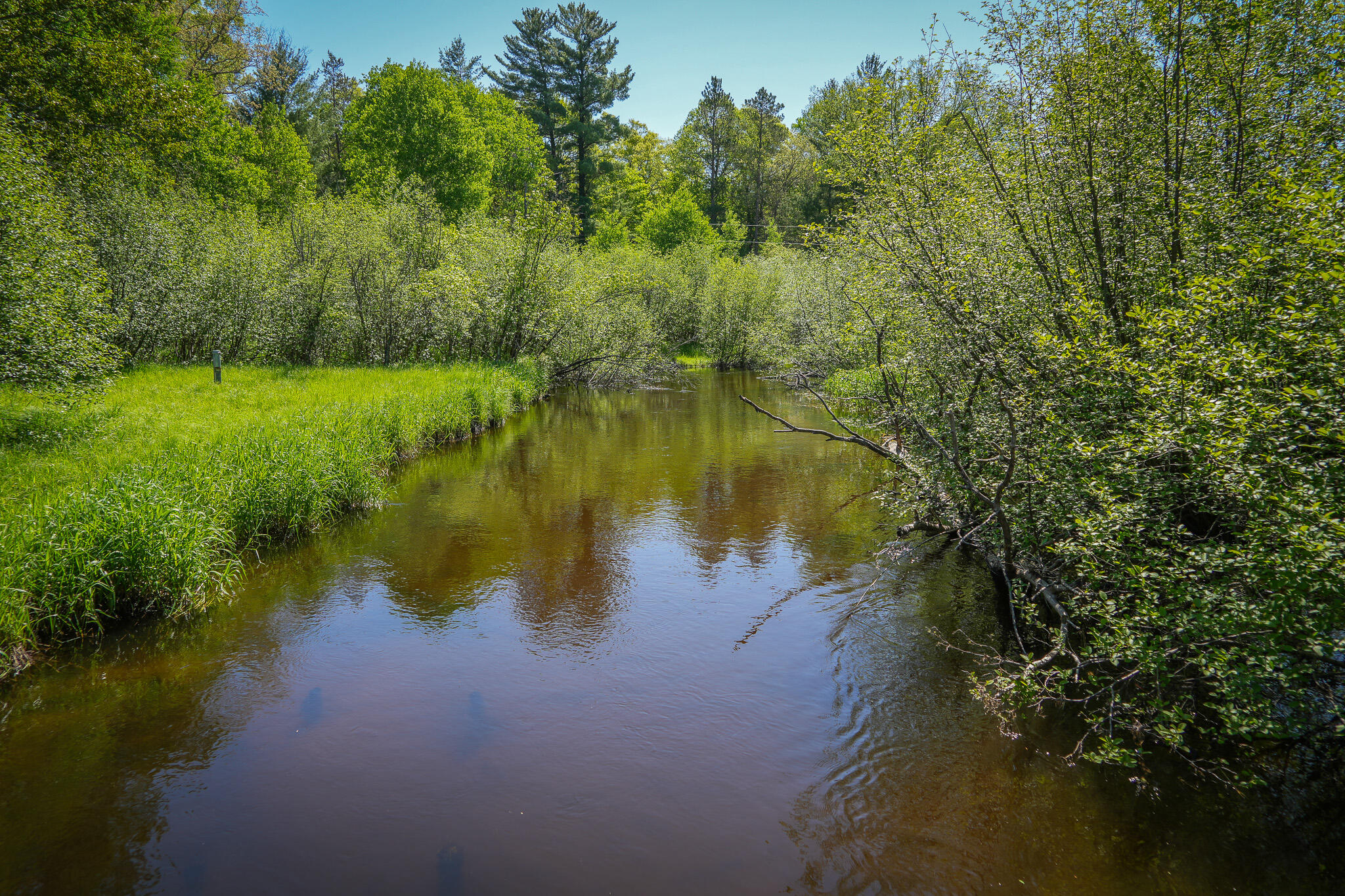 4364 W 4 Mile Road