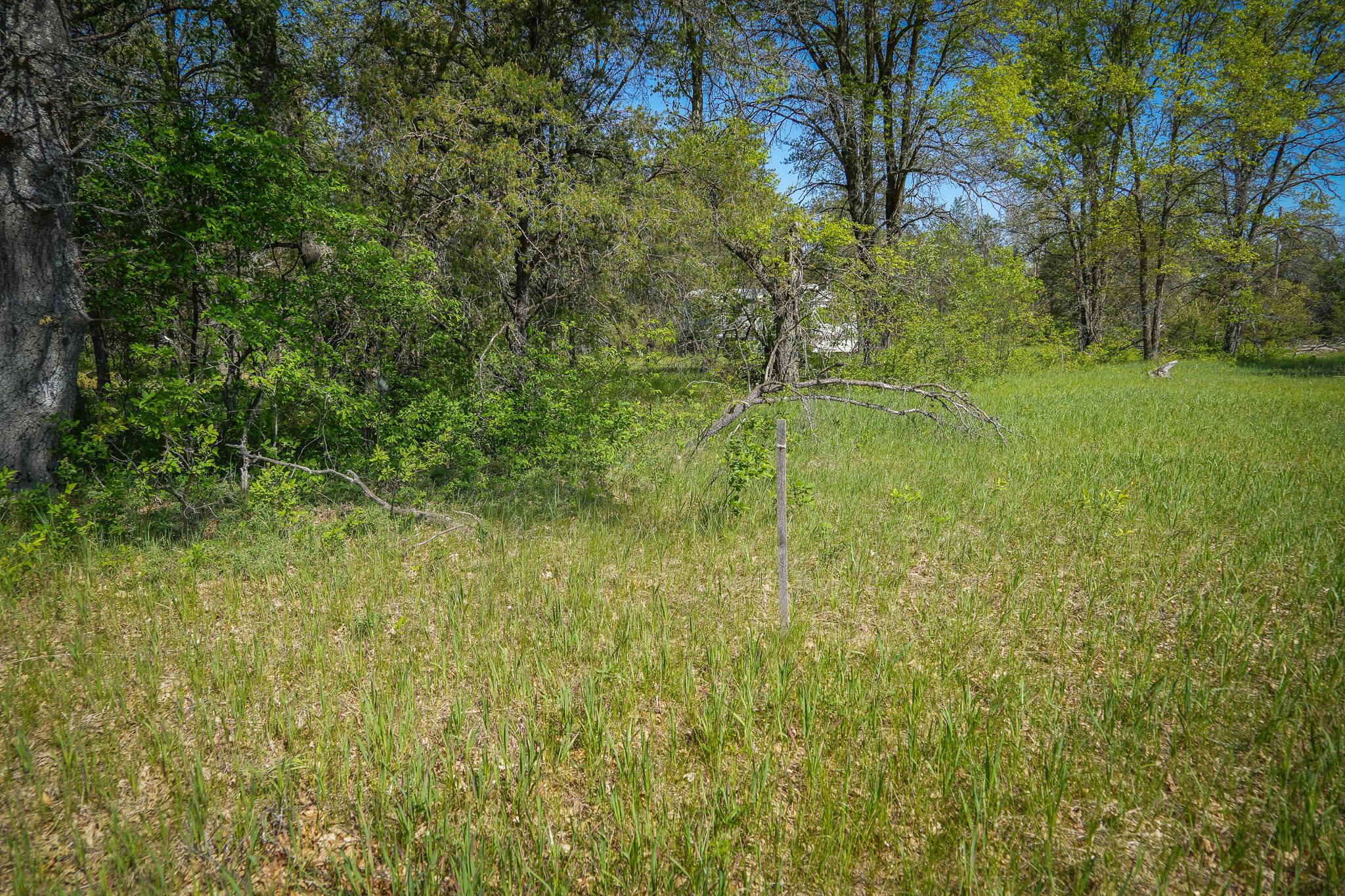 4364 W 4 Mile Road
