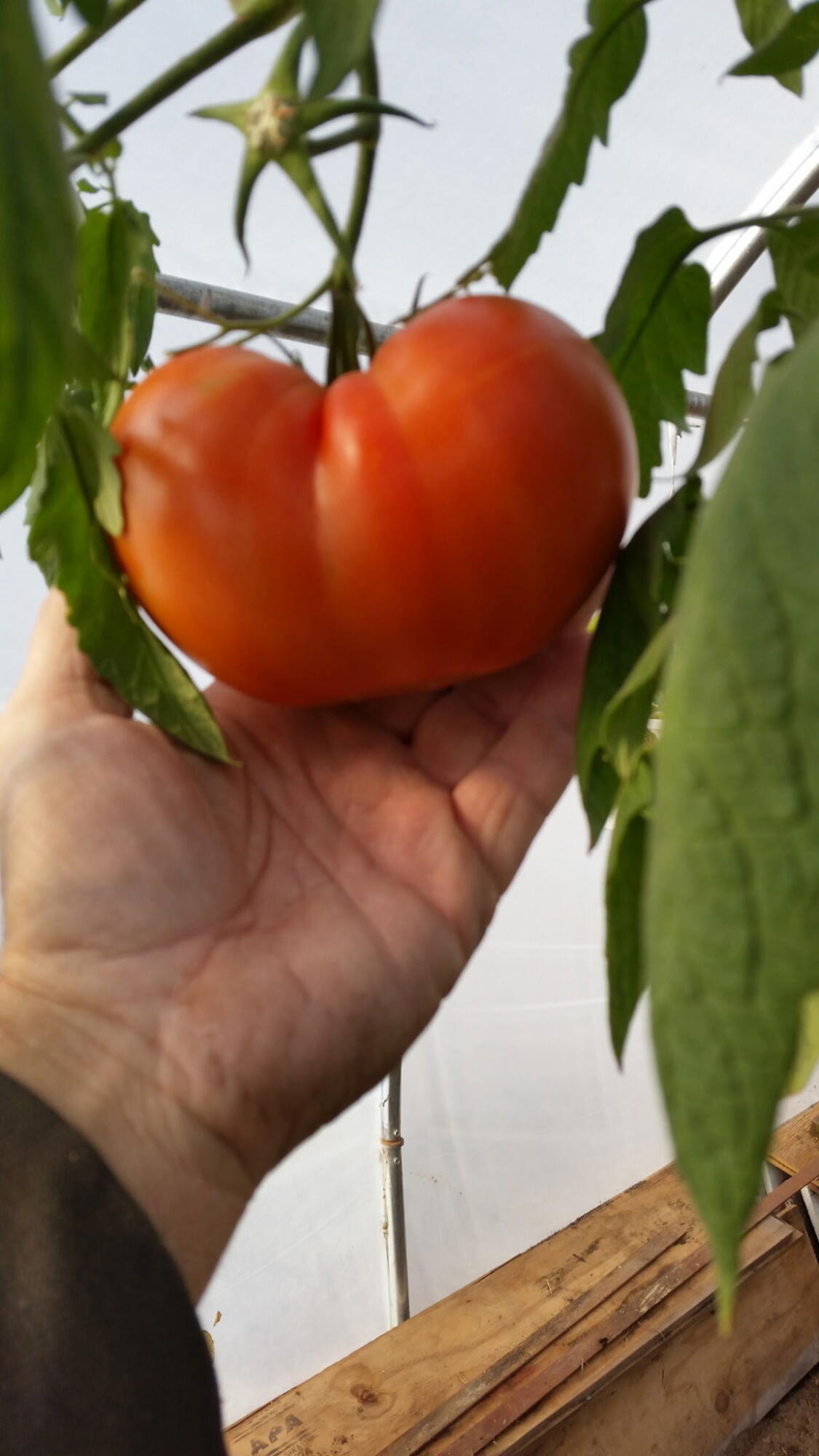 4244 S Paybowme Trail