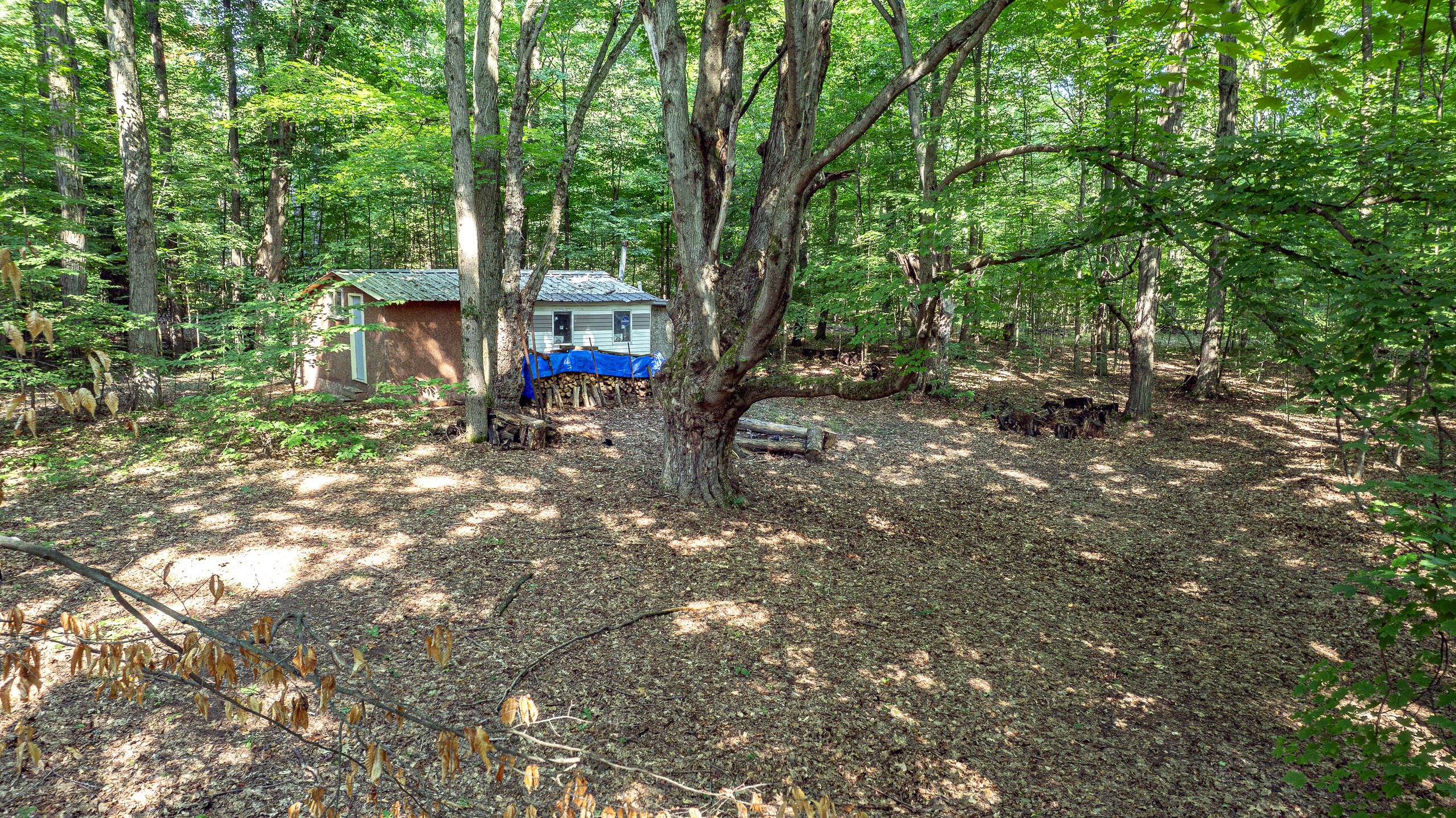 1245 W River Ridge Road
