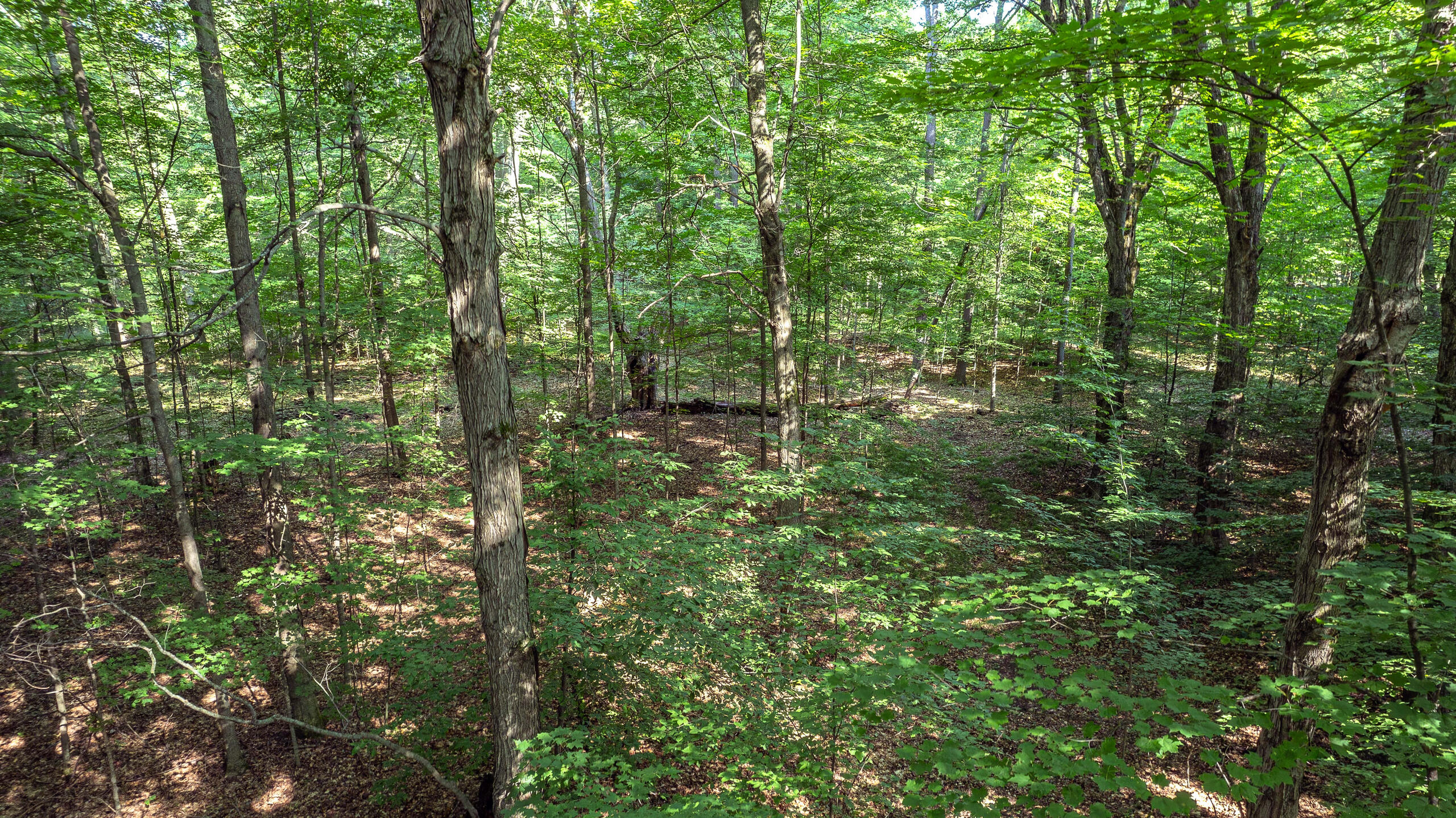 1245 W River Ridge Road