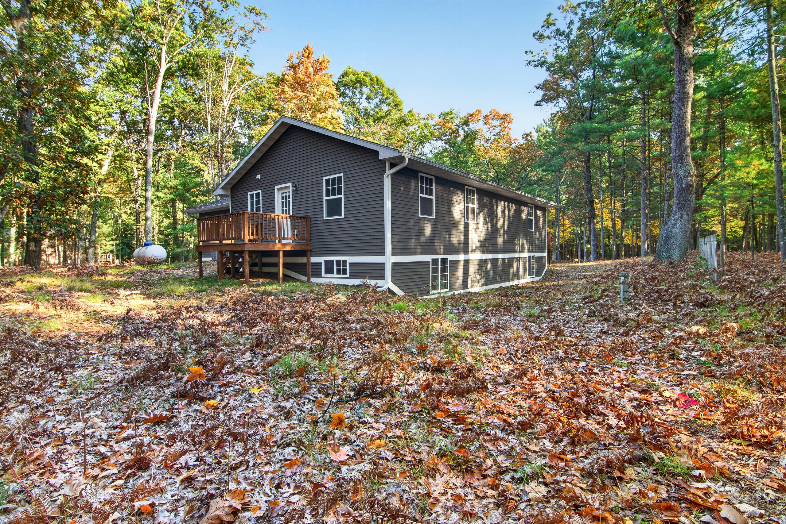 6245 Wayne Road