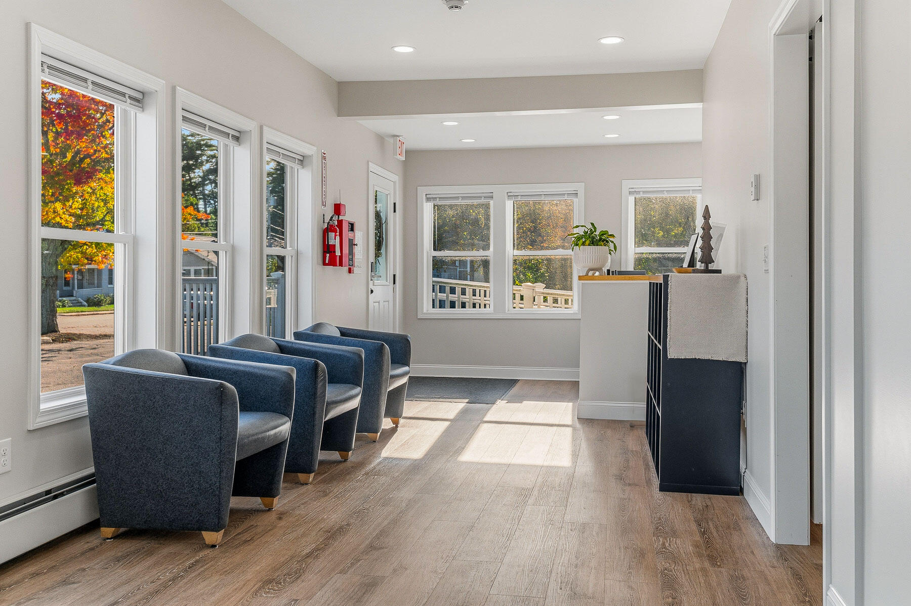 Bright waiting area with blue armchairs, large windows, and a reception counter.