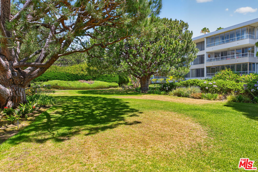 32646 Coastsite Dr Unit: 202
