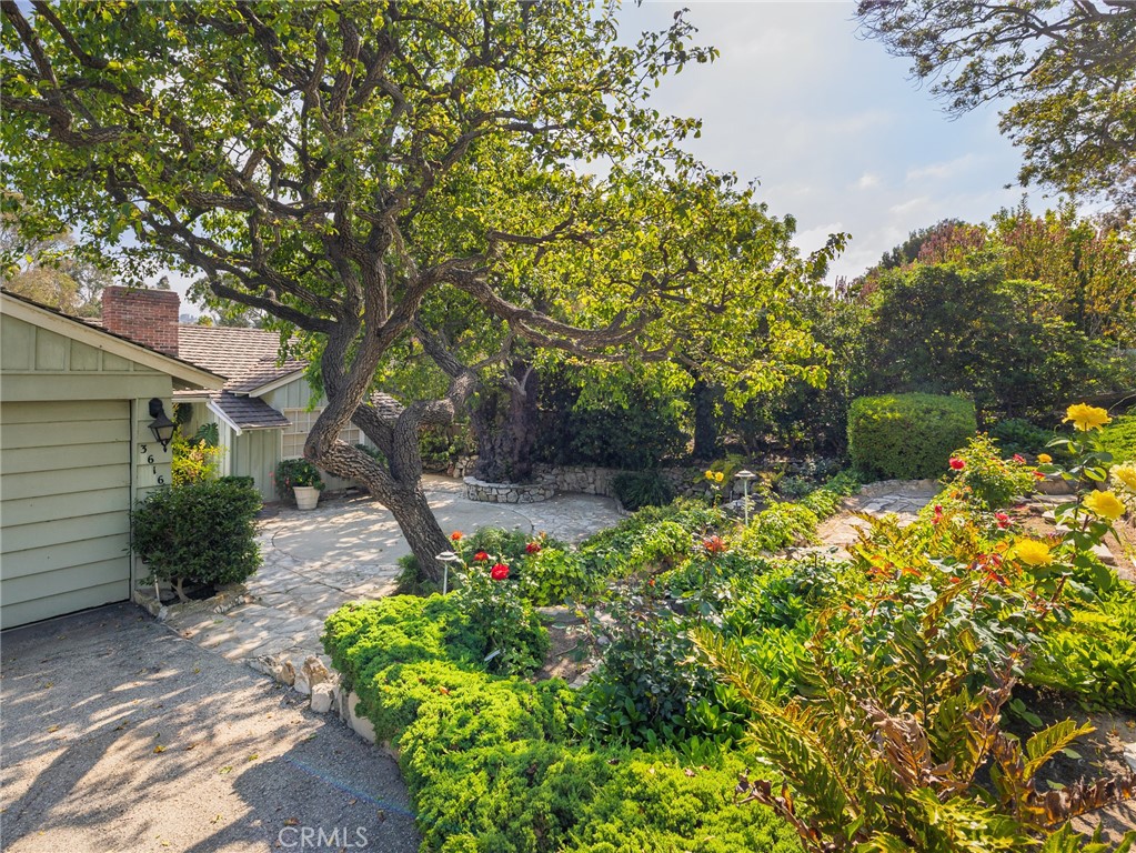 3616 Via La Selva