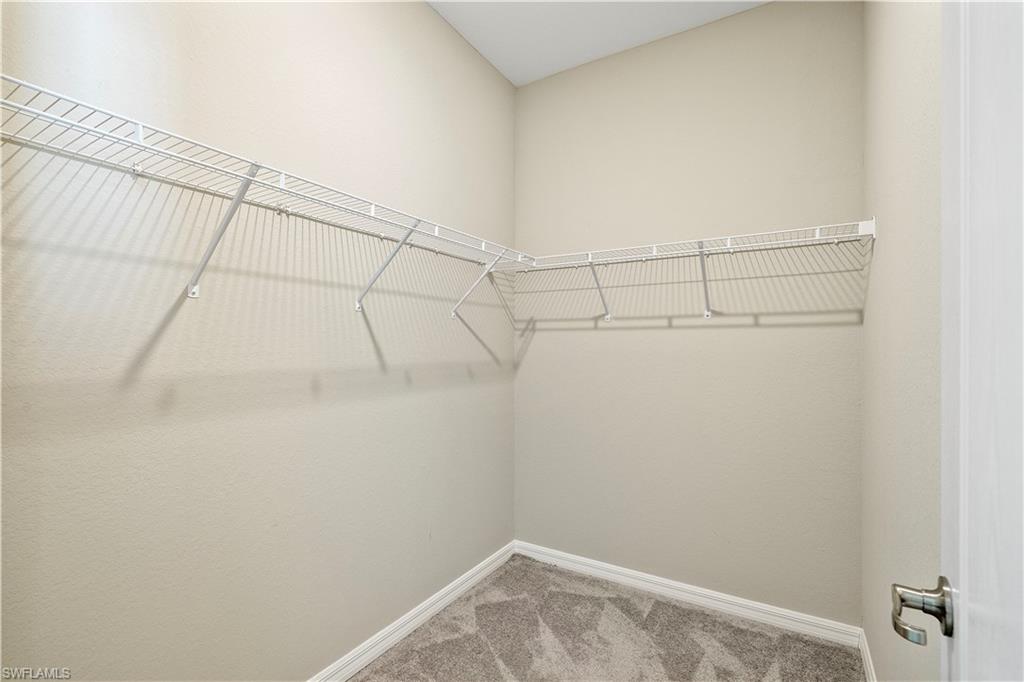 17684 Corkwood Bend TRL