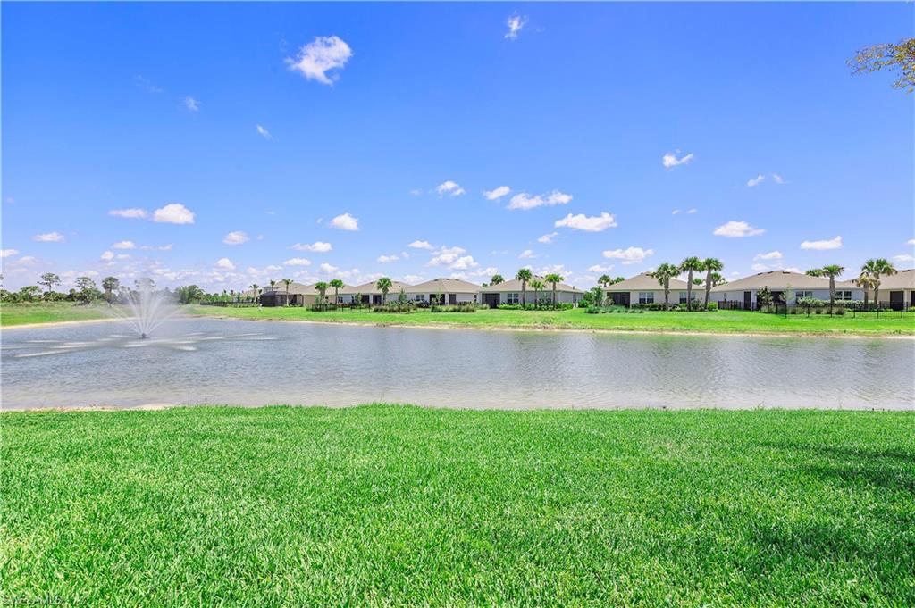 17639 Wild Iris LN