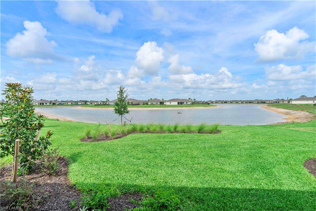 17911 Shade Tree LOOP
