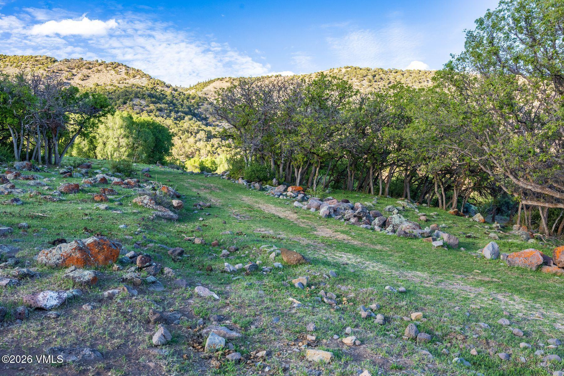 TBD County Road