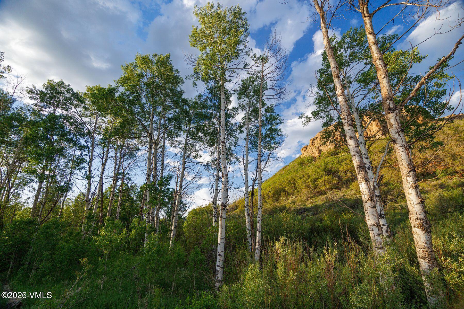 22090 County Road 212