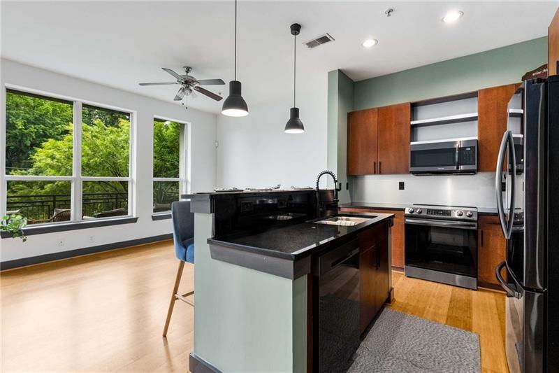747 Ralph Mcgill Boulevard NE Unit 223