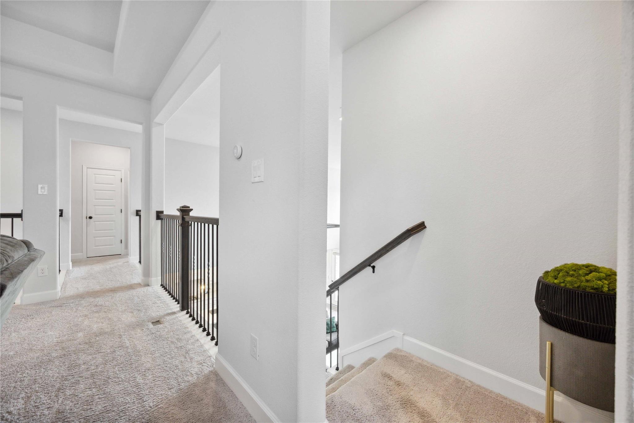 16946 Lupine Meadow Lane