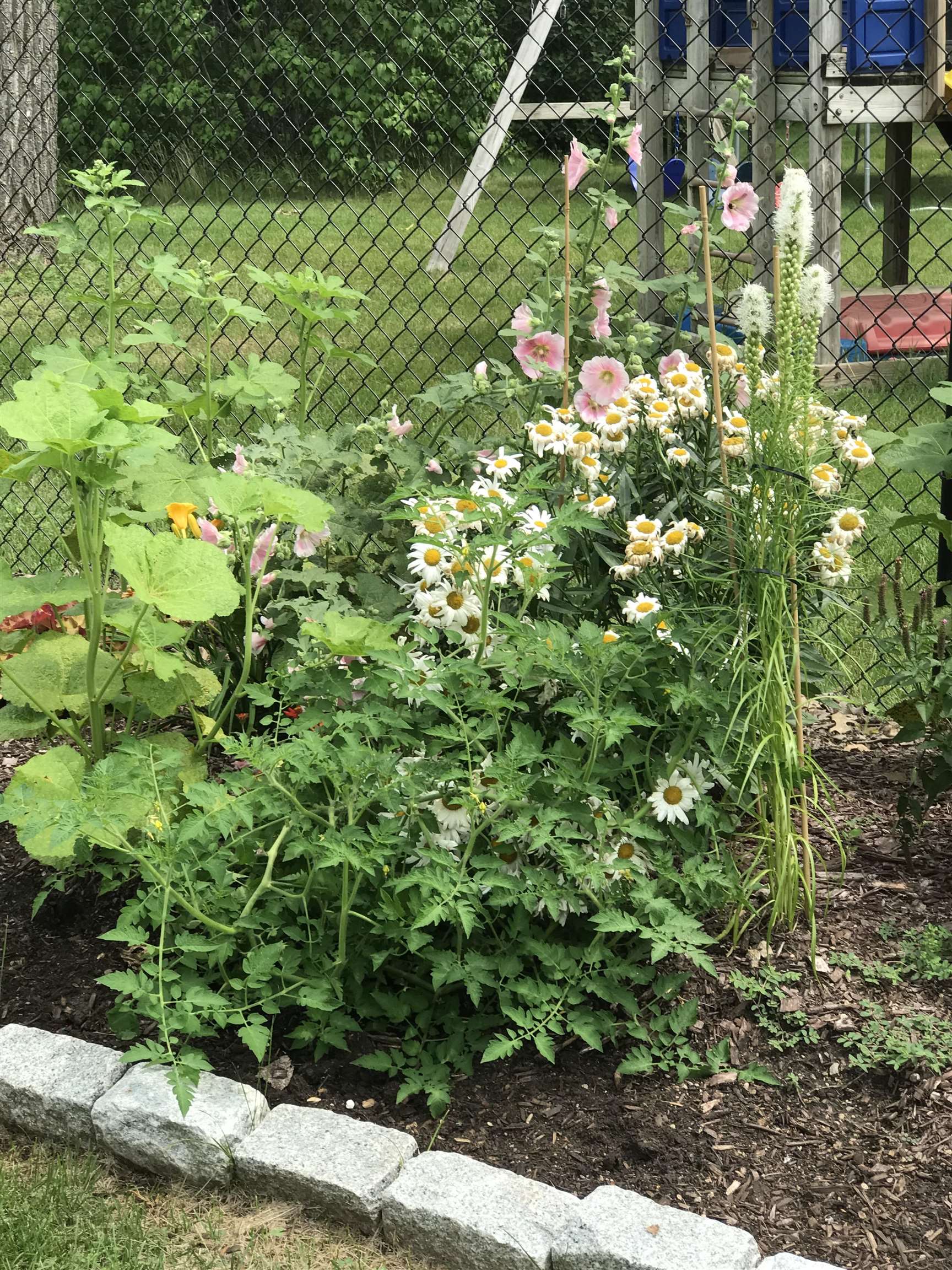 718 E Chestnut Street