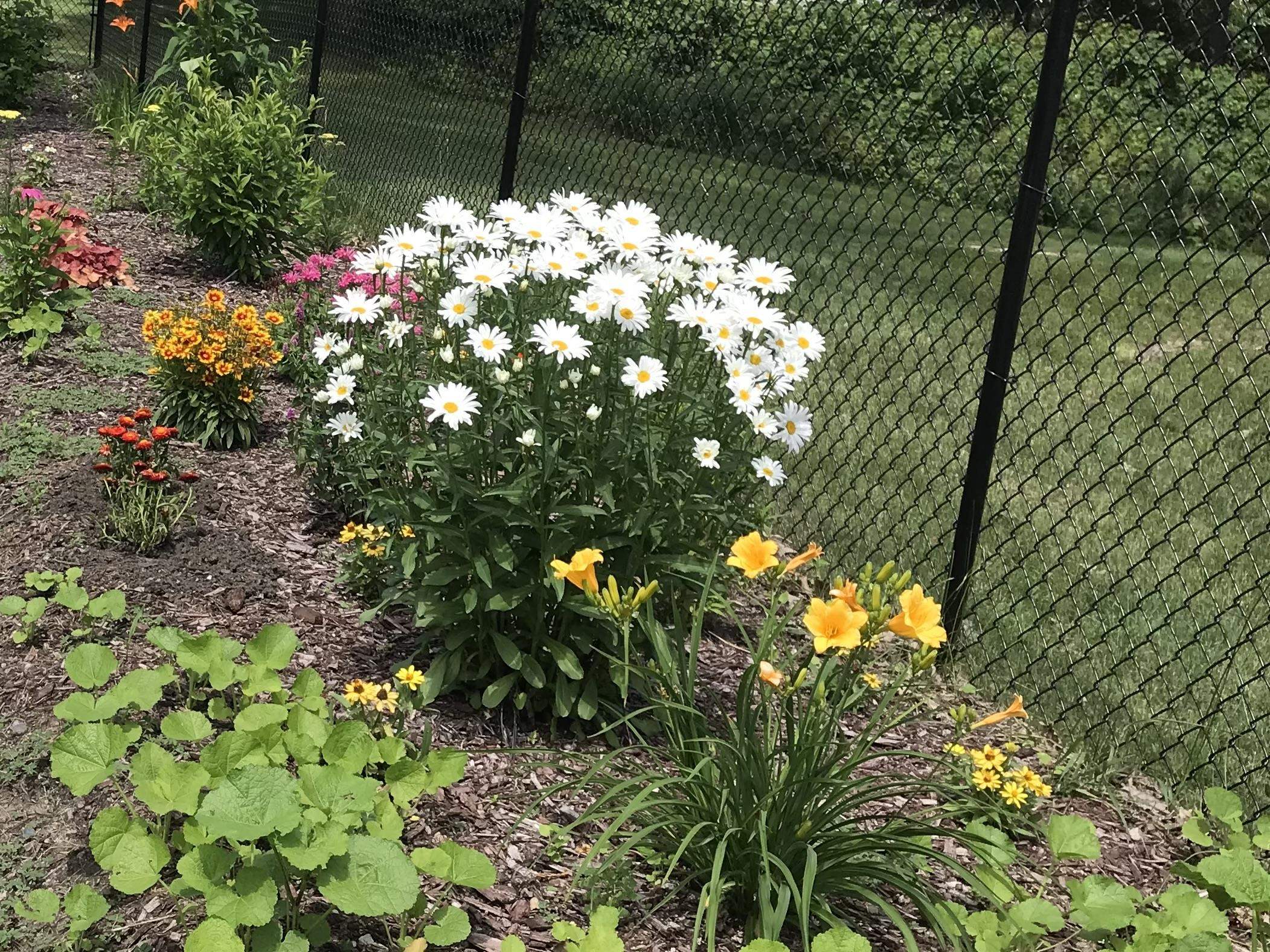 718 E Chestnut Street