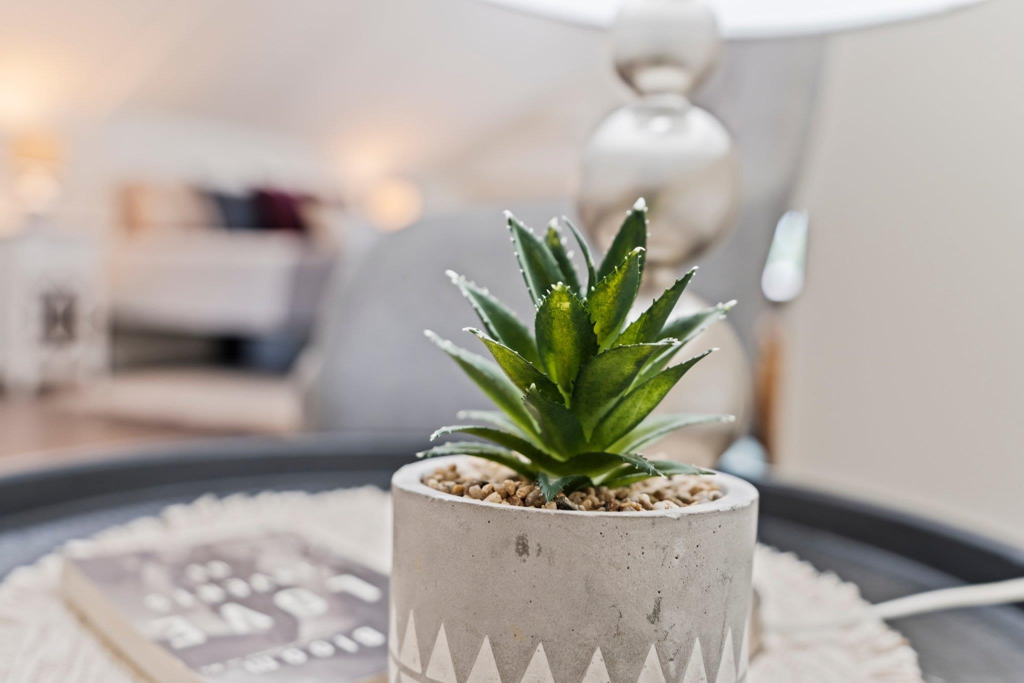 317 E Franklin Street