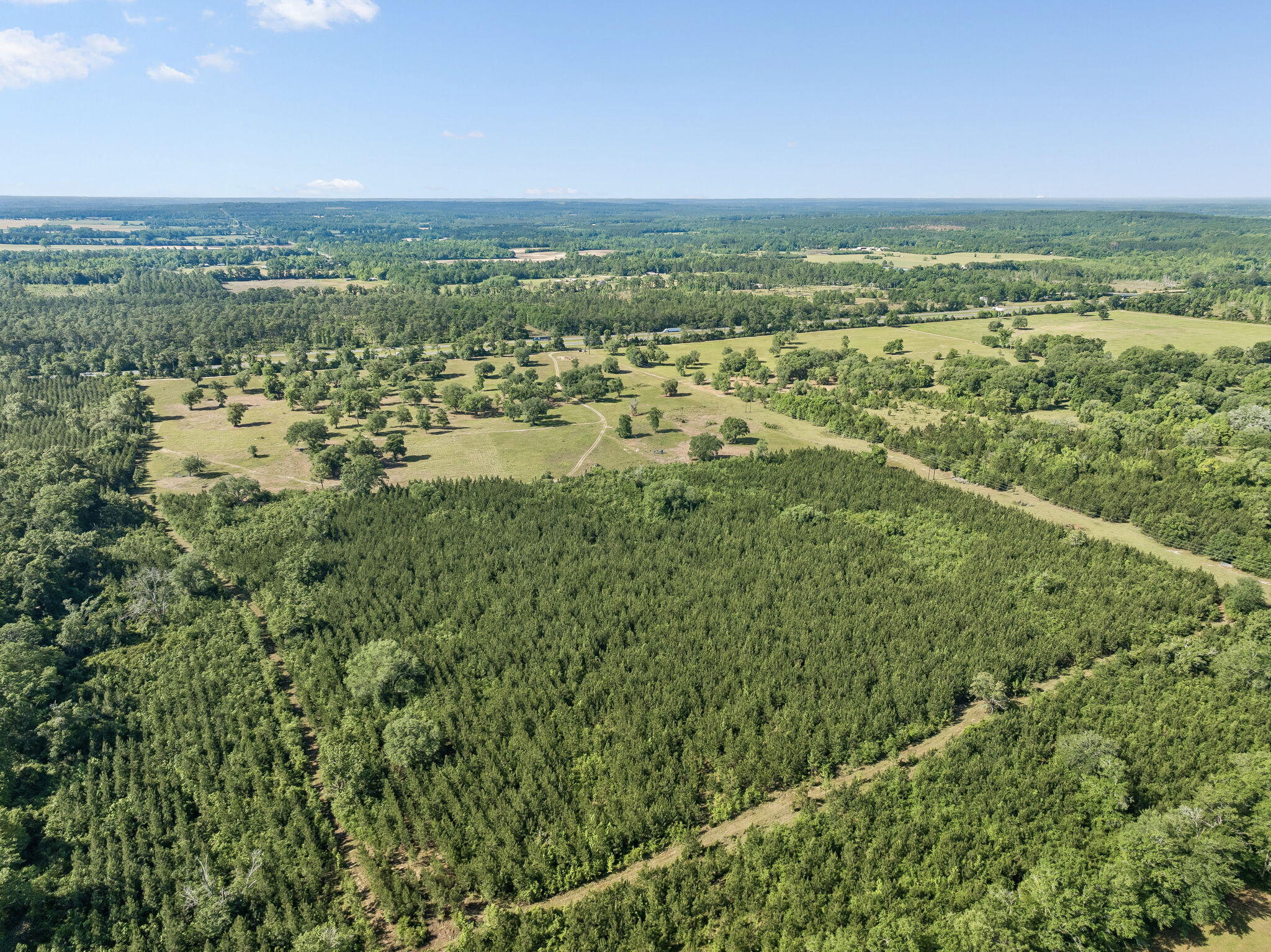1205 Orange Hill Road