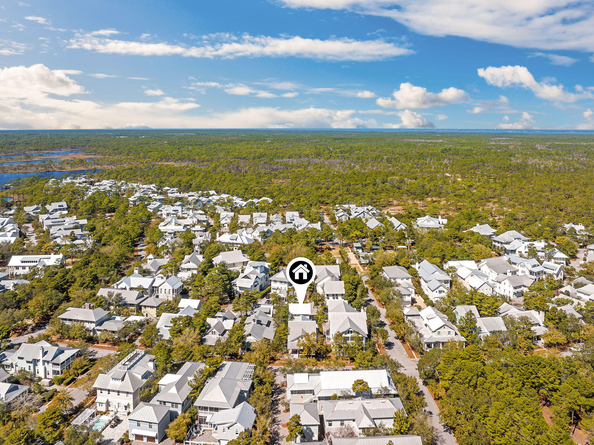 230 Needlerush Drive, Santa Rosa Beach