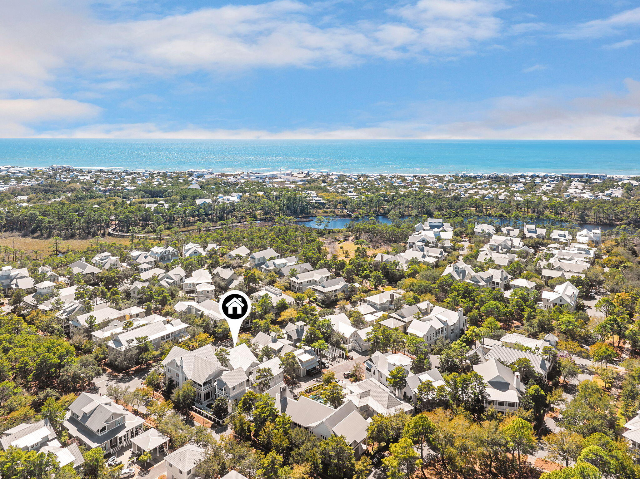 230 Needlerush Drive, Santa Rosa Beach