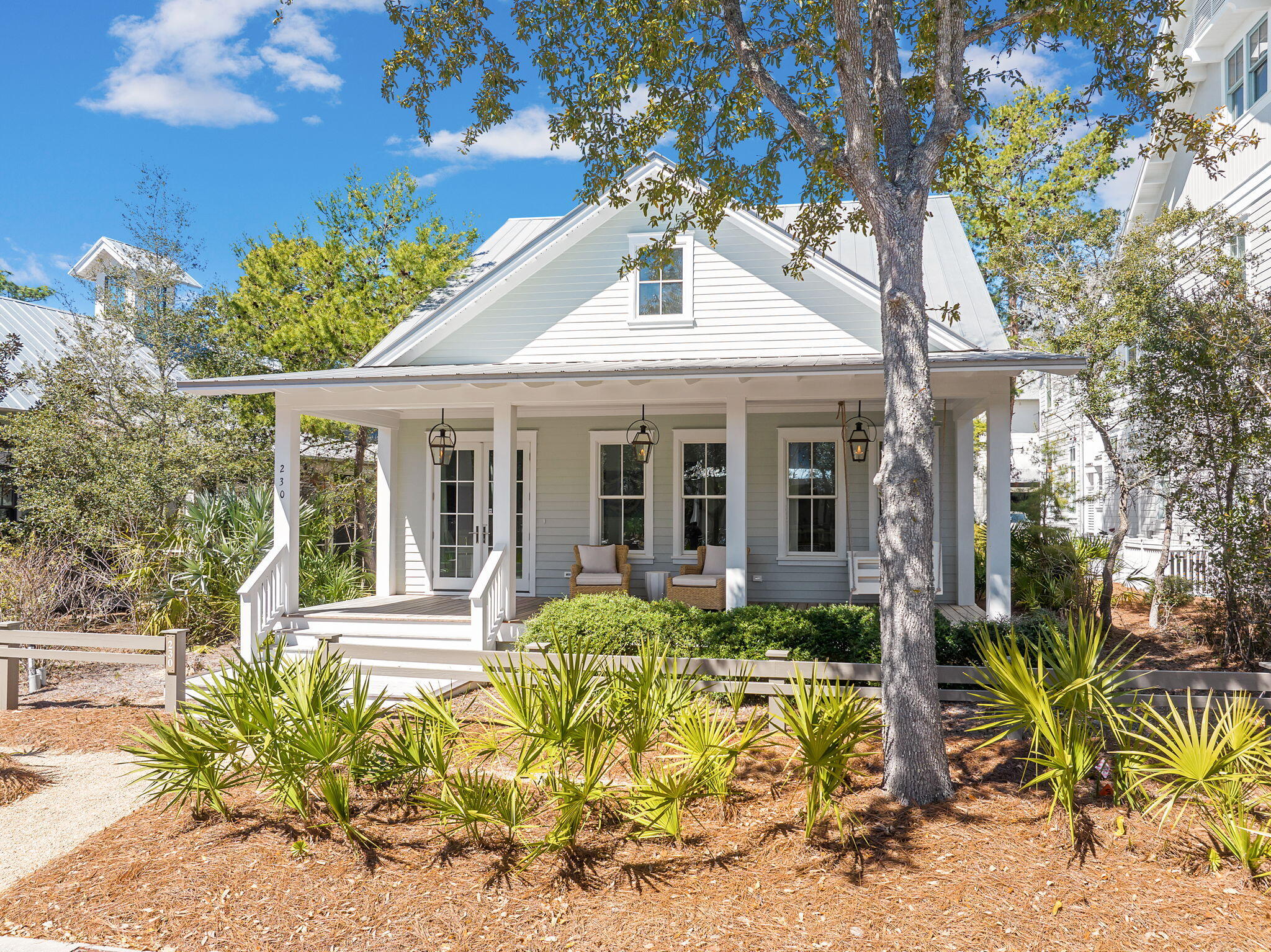 230 Needlerush Drive, Santa Rosa Beach