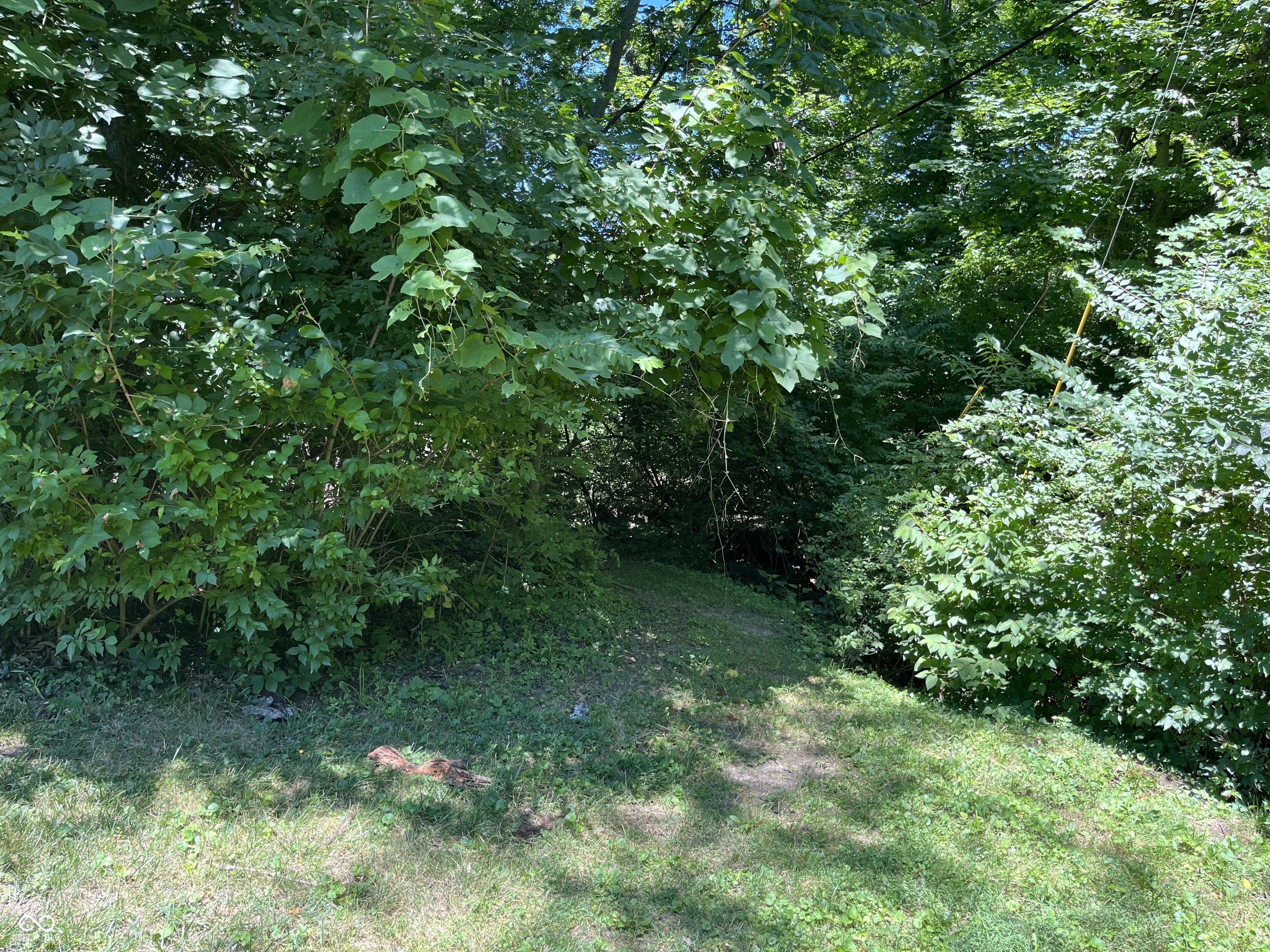 6536 Wyman Court