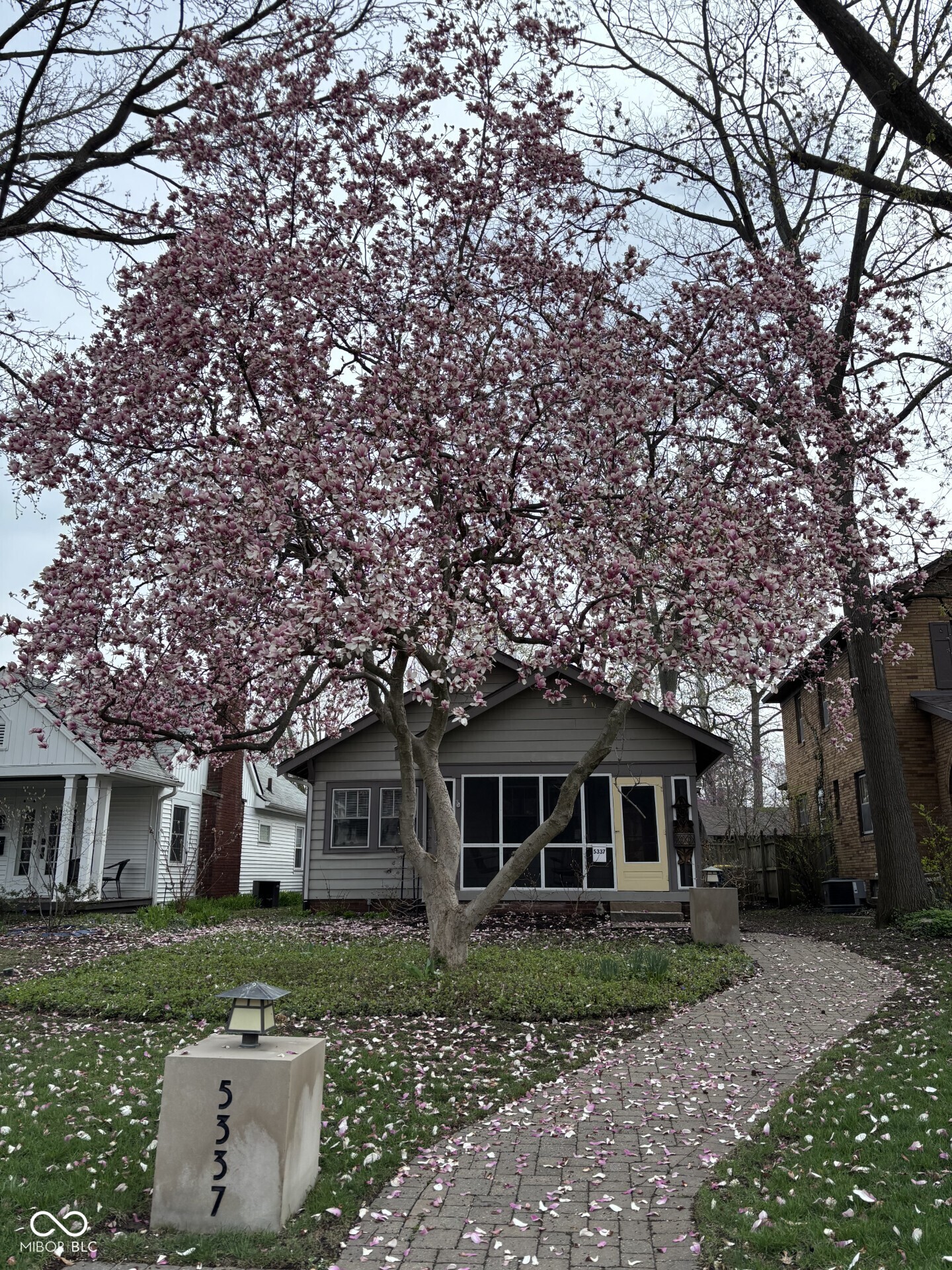 5337 Central Avenue