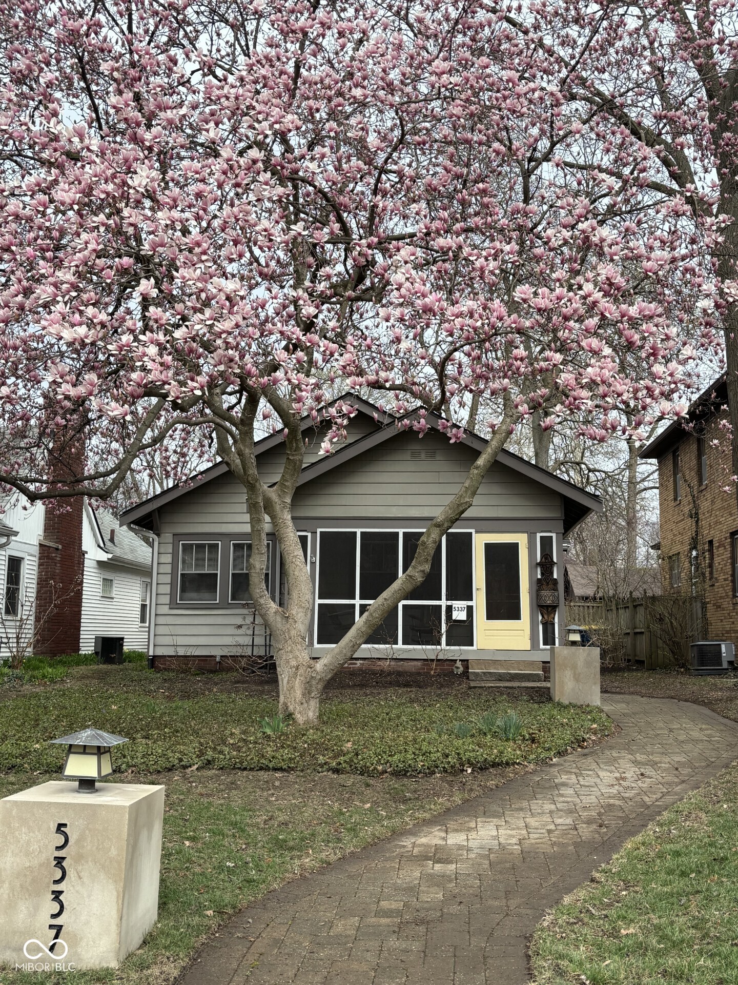 5337 Central Avenue