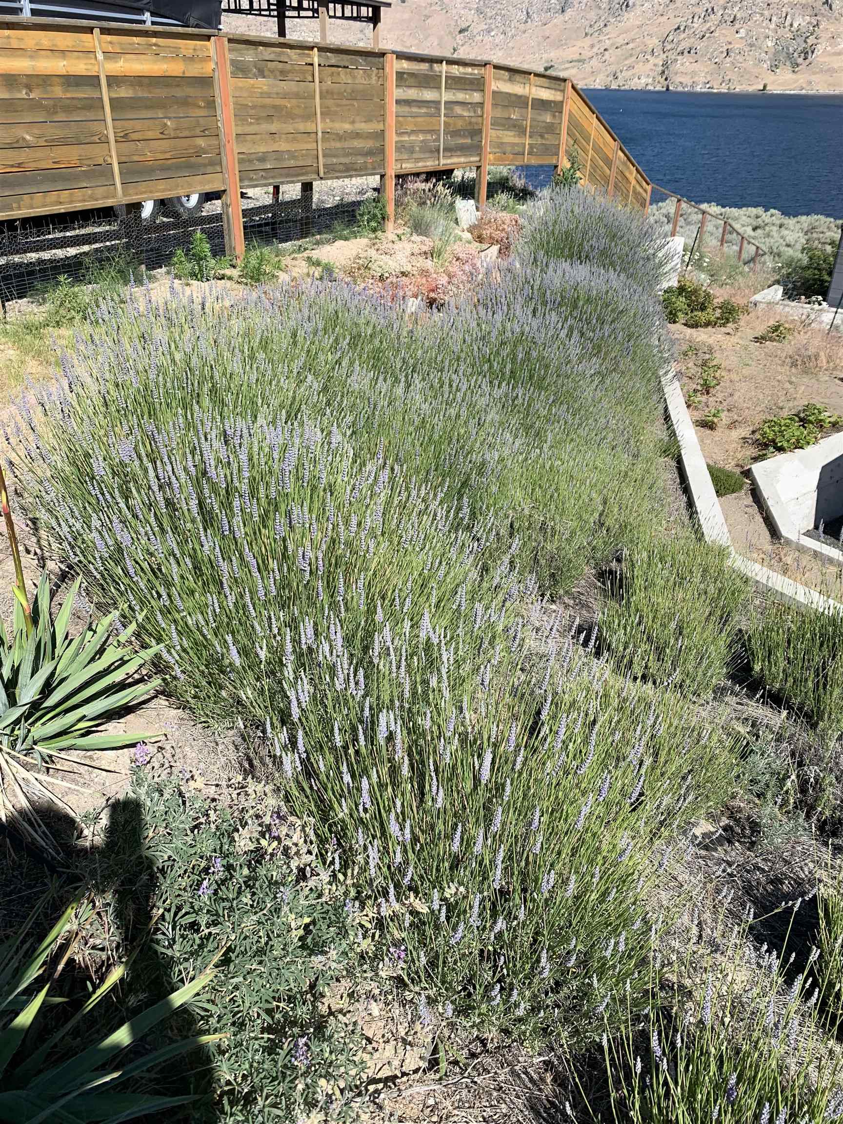 4205 Plum Pt E