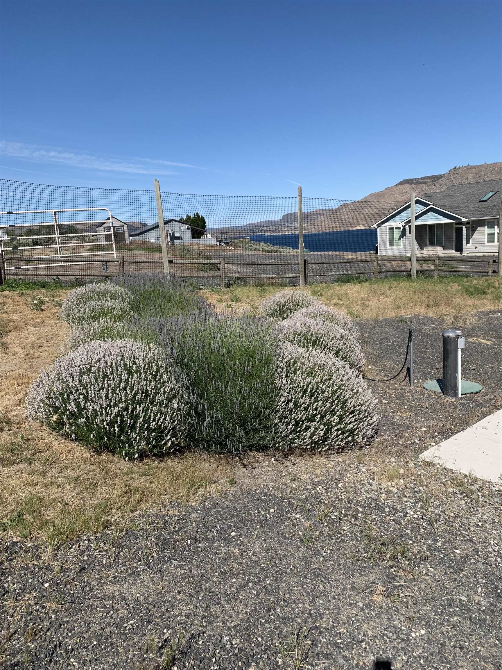 4205 Plum Pt E