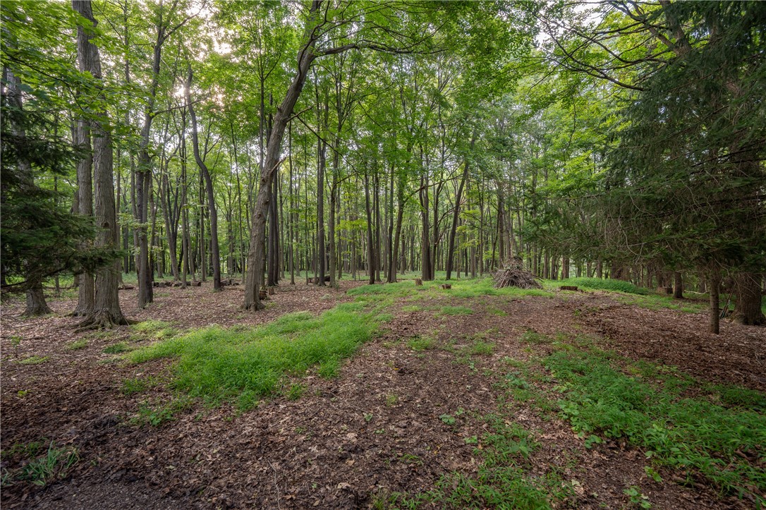 127 Mountain Road