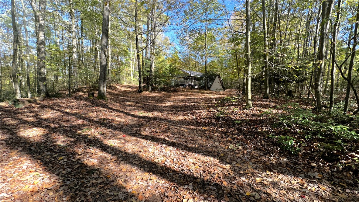 737 Crooked Pine Trail