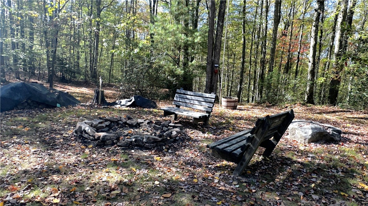 737 Crooked Pine Trail