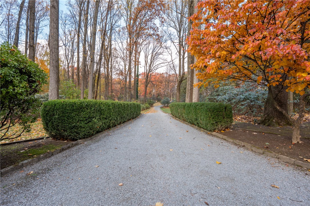 113 Silver Spring Trail