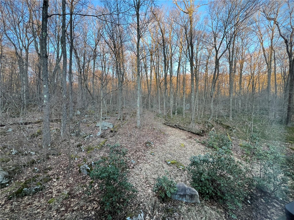 340 W Laurel Lane