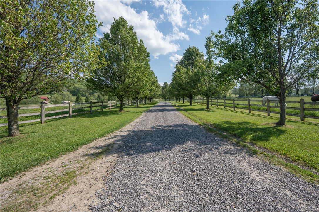 429 Old Distillery Road